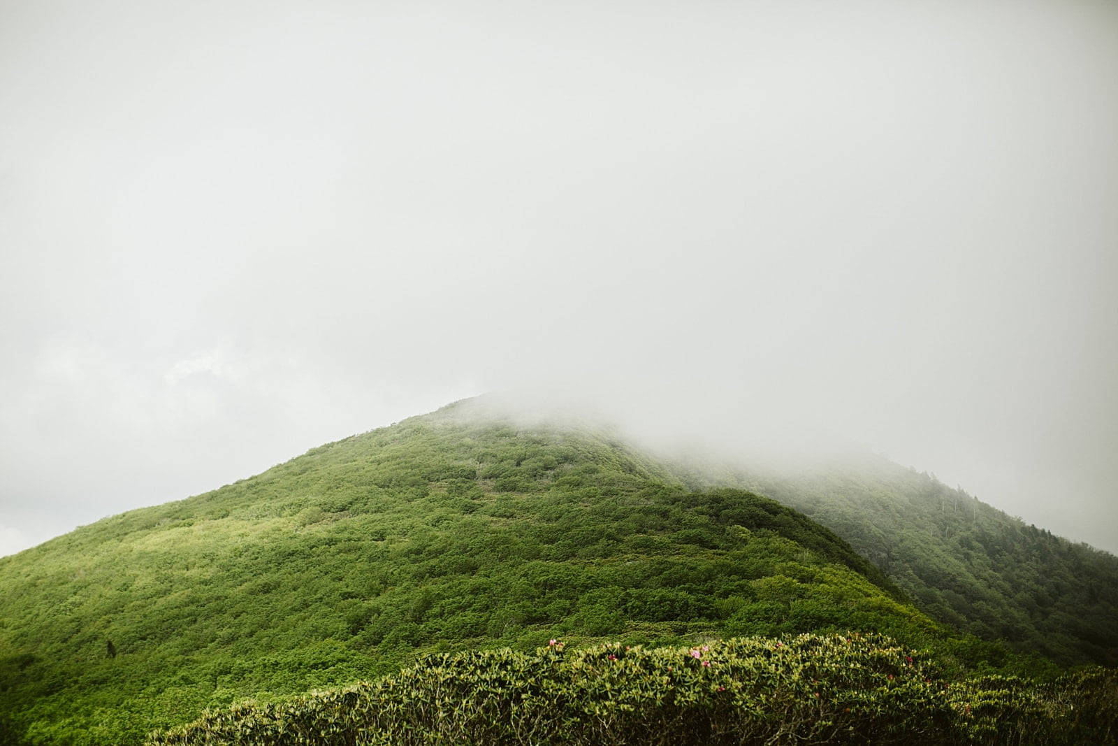 Brandy+john Elopement