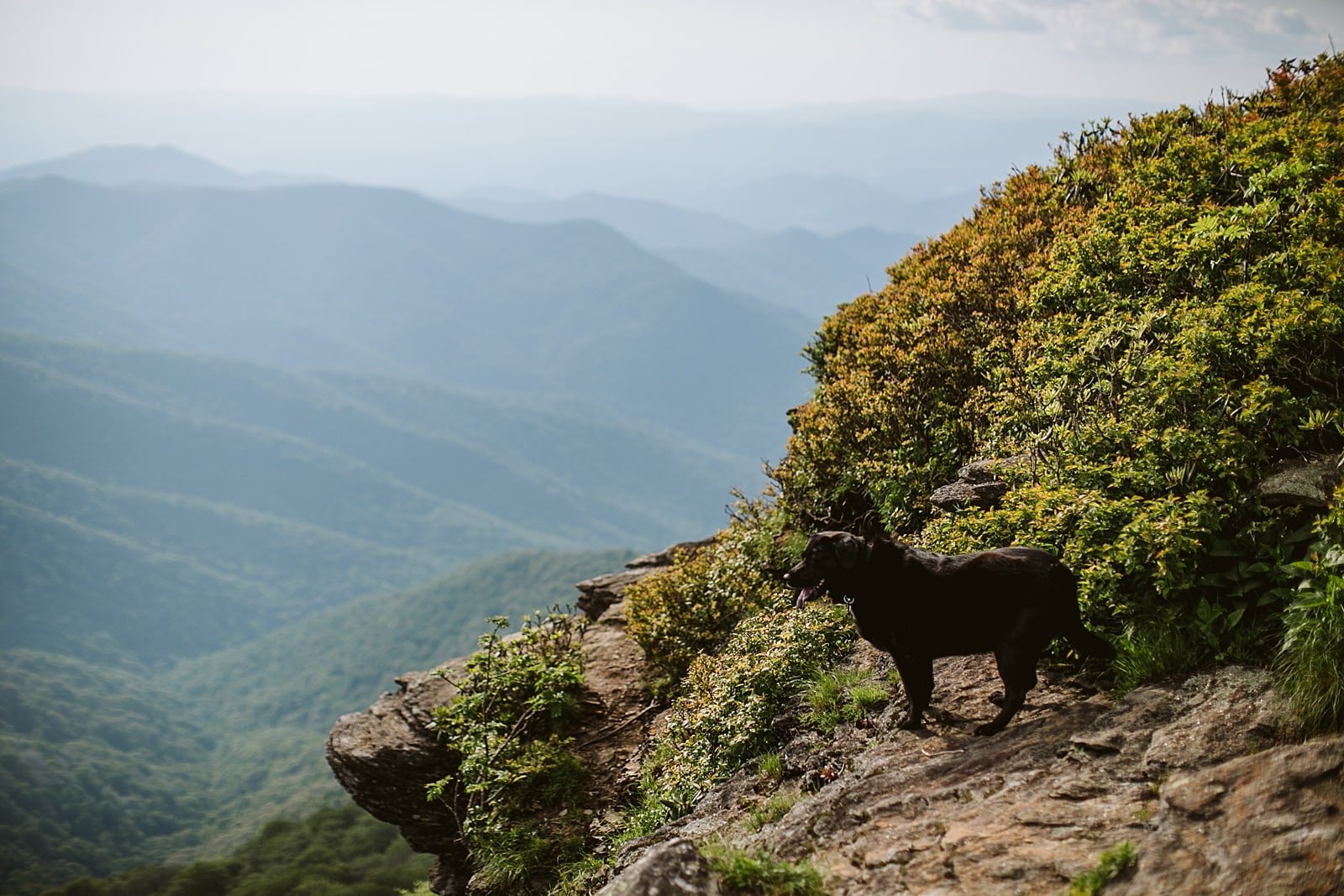 Brandy+john Elopement