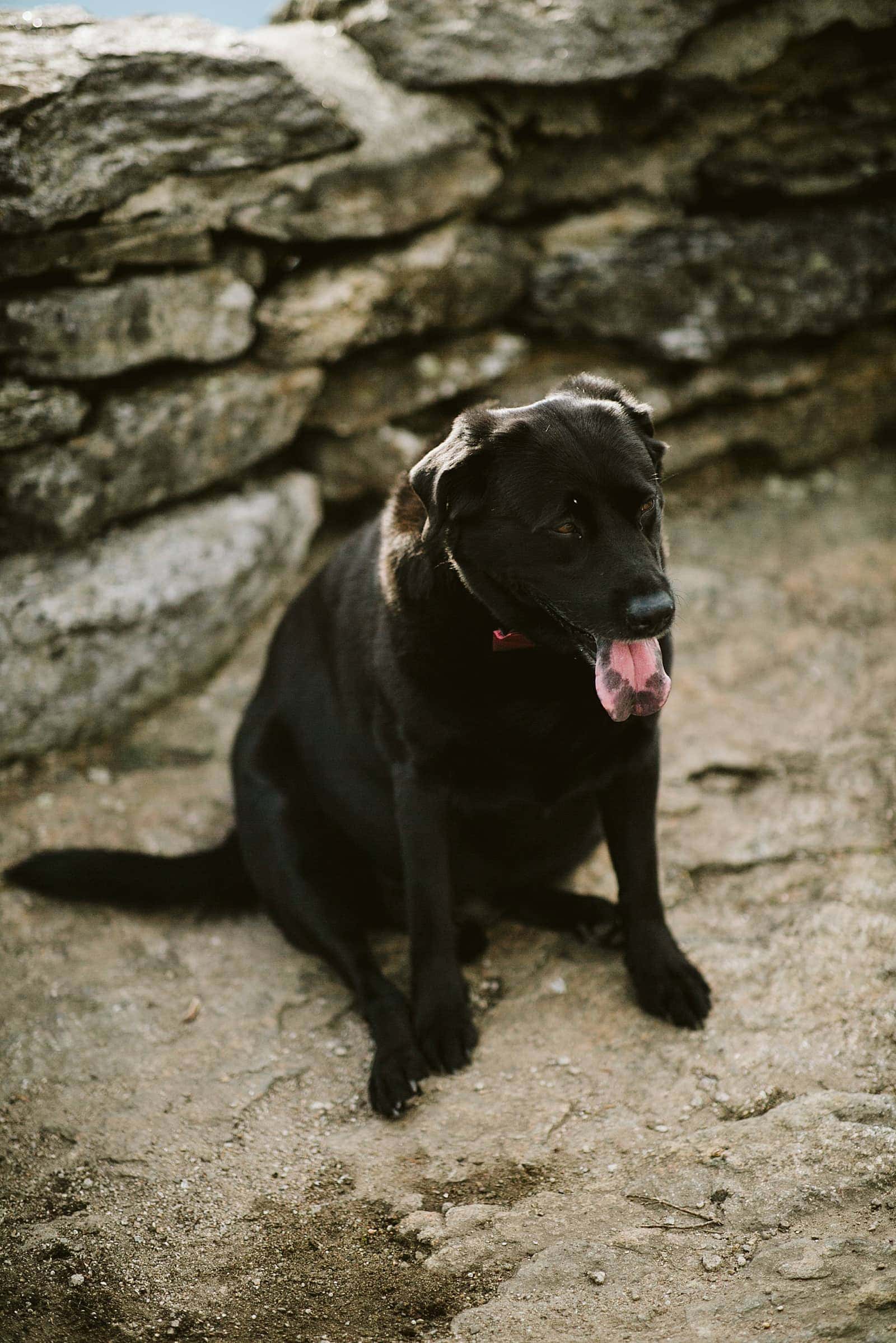 Brandy+john Elopement