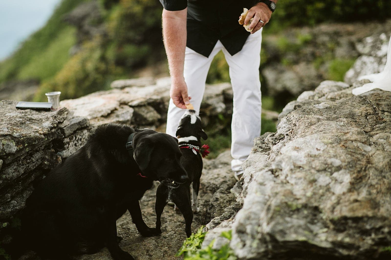 Brandy+john Elopement