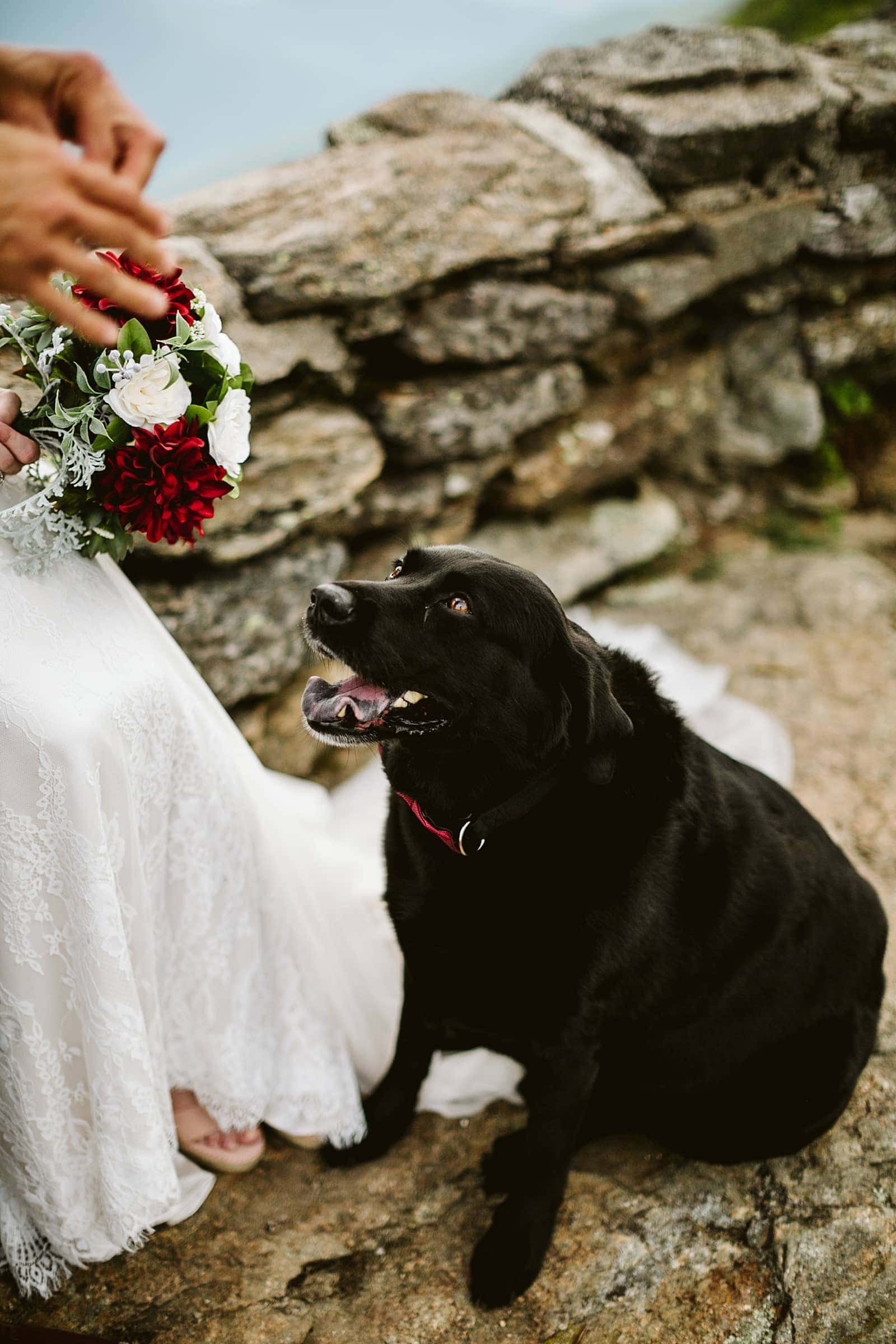 Brandy+john Elopement
