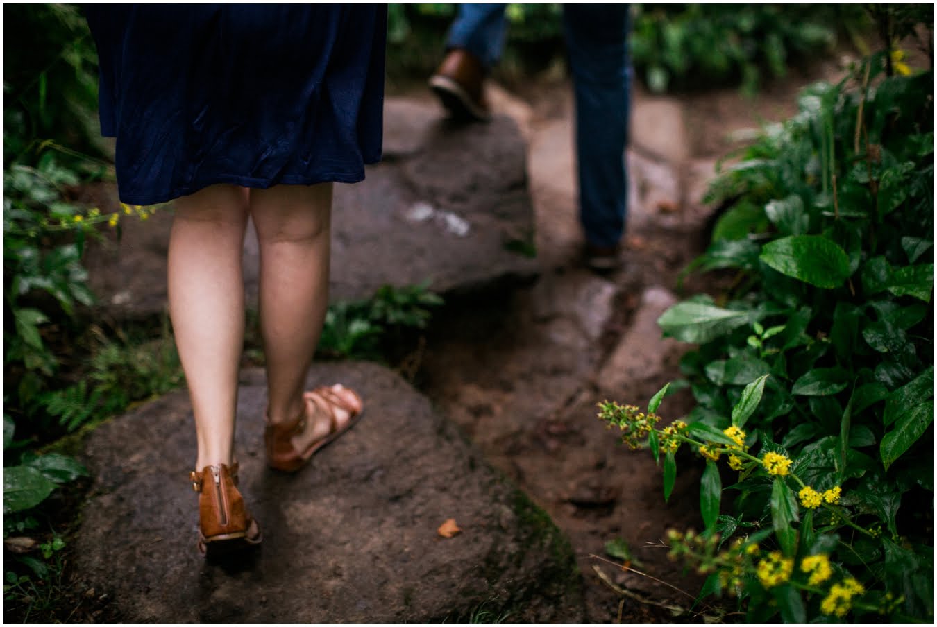 Destination_Wedding_Photographer_Foggy_Asheville_Enagement_Shoot__0022