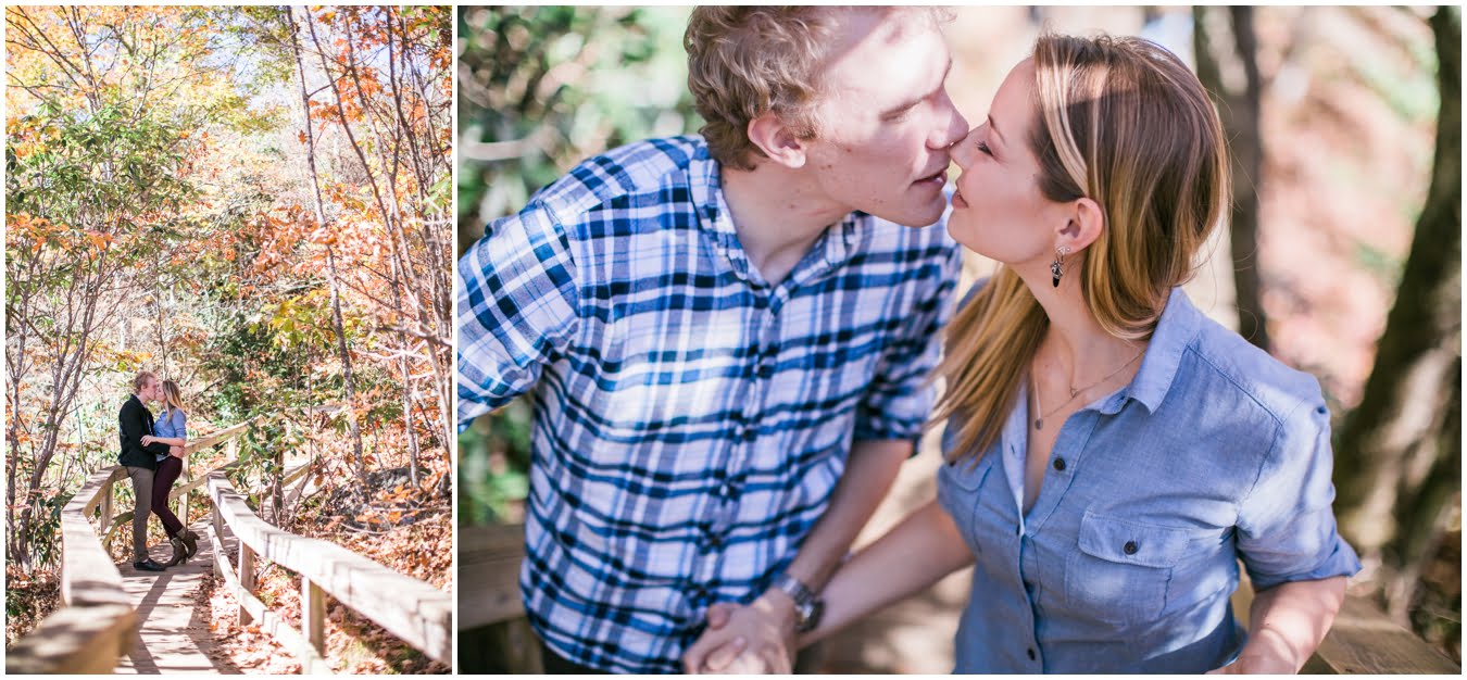 Destination_Wedding_Photographer_Graveyard_Fields_Engagement_Asheville_Wedding_Photographer_09