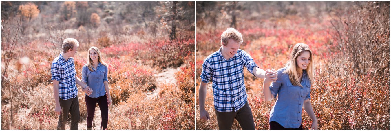 Destination_Wedding_Photographer_Graveyard_Fields_Engagement_Asheville_Wedding_Photographer_12