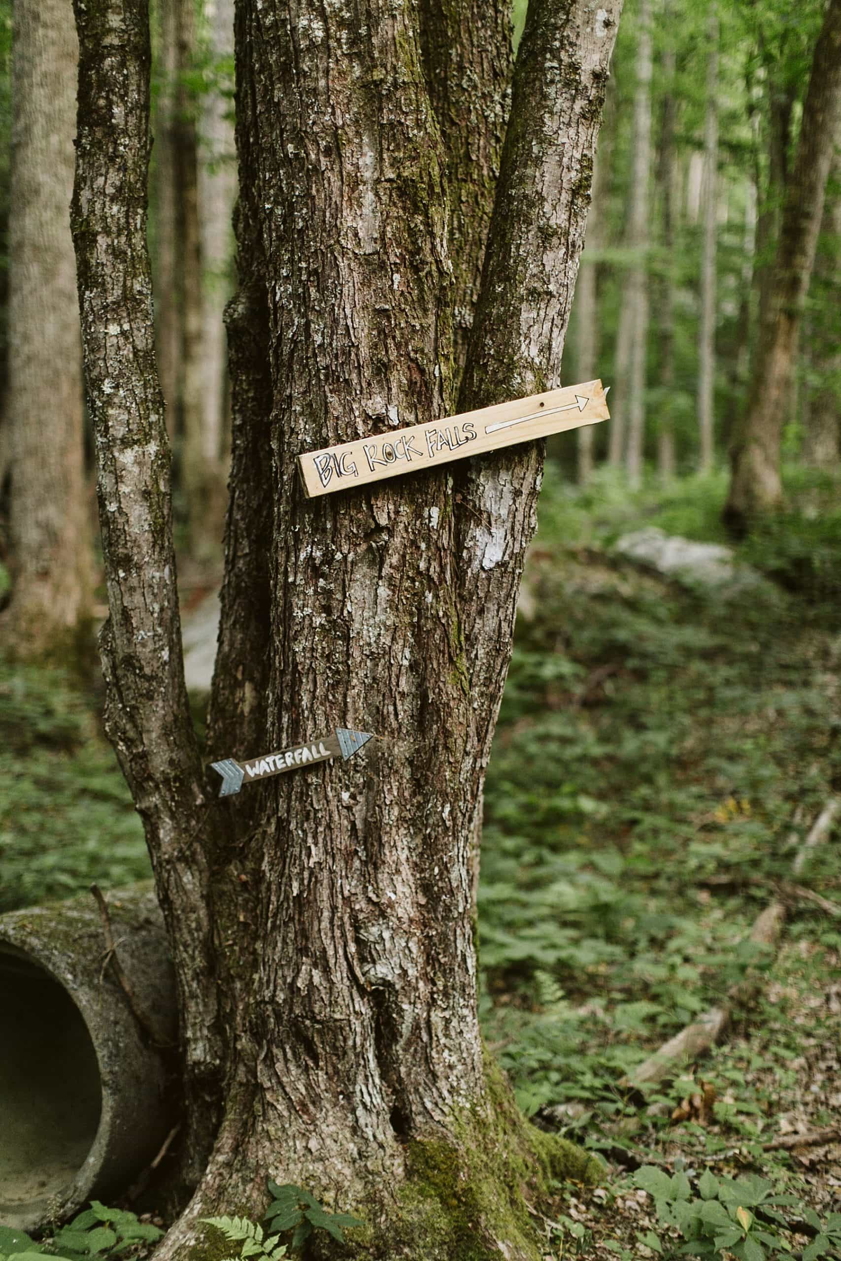 Asheville Wedding Photos, Asheville Wedding Photographer, Asheville Elopement Photos, Asheville Wedding Venues, Asheville Engagement Photographer, Secret Waterfall Elopement, Elopement Photos, Asheville Elopement Photographer, Waterfall Elopement, CarolynMariePhotography, Intimate Wedding Photos